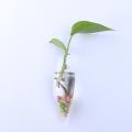 NYT Irregular Wall Hanging Glass Planters Air Plant Furniture Terrariums Flower Pots Vases. 