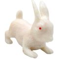 Soft Rubber rabbit Toy for Fun, Pranks, and Gag Gifts | Realistic Khargosh. 