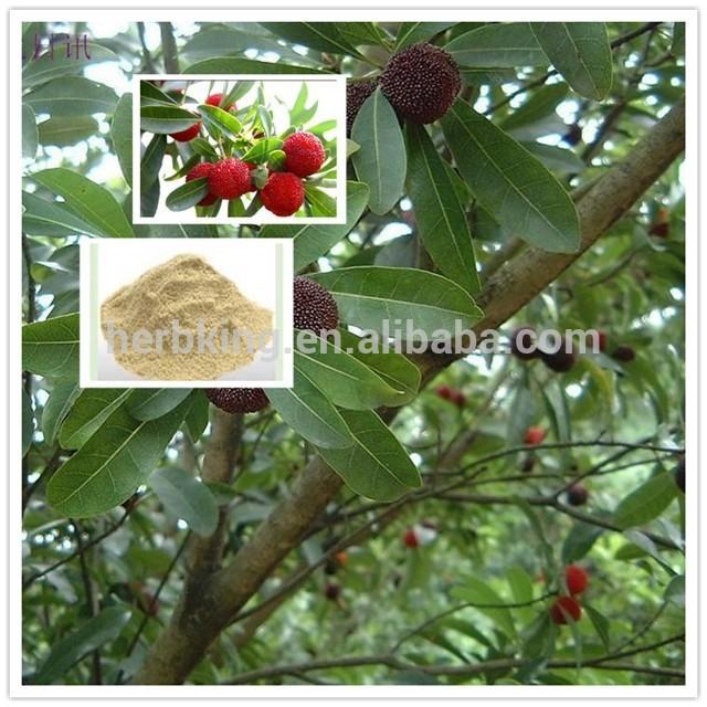 Red Bayberry Extract Powder 1kg