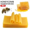 10Pcs Beeswax Sheets Candle Making Craft DIY Kits Honey Candles Maker Full Bees Wax Honeycomb Beekeeping Foundation Sheets New. 
