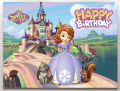 PRINCESS SOFIA THEME BIRTHDAY PARTY BANNER ( 36 INCHES X 24 INCHES ). 