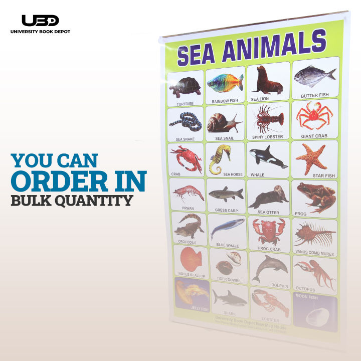 Sea%20Animals%20Wall%20charts%20For%20classroom%20%7C%20High%20Quality%20Sea%20Animals%20Chart%20on%20200%20grams%20Laminated%20Card%20%7C%20Preschool%20Decoration%20-%20Image%208