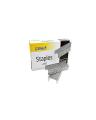 Staple Pin / Stapler Pin / Staple 24/6 (1 Pkt). 