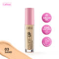 Callista Cover-Up Concealer 60 Beige. 