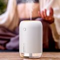 TESLA Portable Mini Humidifier, 500ml Small Desk Humidifier, USB Personal Desktop Humidifier for Bedroom, Office, Travel, Plants, Auto Shut-Off, 2 Mist Modes, Super Quiet, Multicolor. 