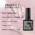 RG Glitter Cat Eyes Magnetic Gel Polish Nail Art Design Manicure UV LED Gel Nail Polish Lacquer Varnish Starry Sky Accessories. 