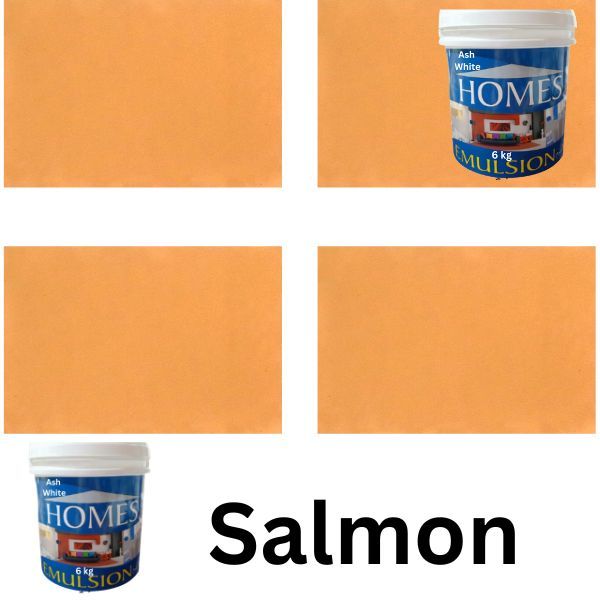 Good%20quality,%20Homes%20Emulsion%20paint%20colors%20for%20Walls,%20%20paint%20for%20walls%20,%20%203-%203.5%20%20litre%20gallon%20/%20bottle%20&%20also%20available%20in%200.91%20ltr%20-1%20litre%20QTR%20%20pack%20/%20bottle.on%20daraz%20with%20very%20neat%20finishing%20and%20so%20many%20attractive%20shades%20-%20Image%207