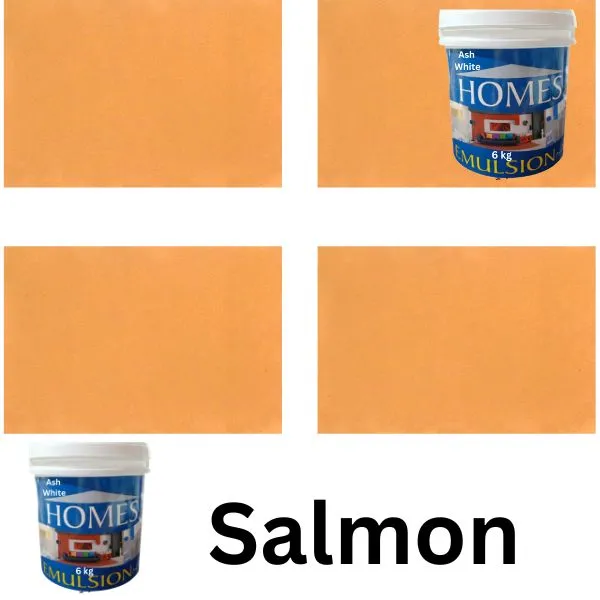 Good%20quality,%20Homes%20Emulsion%20paint%20colors%20for%20Walls,%20%20paint%20for%20walls%20,%20%203-%203.5%20%20litre%20gallon%20/%20bottle%20&%20also%20available%20in%200.91%20ltr%20-1%20litre%20QTR%20%20pack%20/%20bottle.on%20daraz%20with%20very%20neat%20finishing%20and%20so%20many%20attractive%20shades%20-%20Image%207