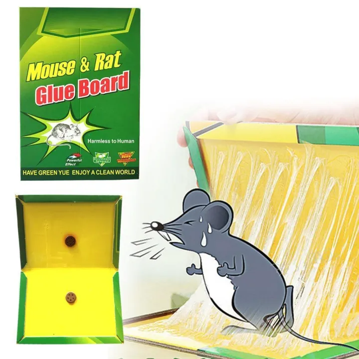 1%20Pcs%20Mouse%20Glue%20Traps%20with%20Enhanced%20Stickiness,%20Rat%20Mouse%20Traps,%20Snake%20Mouse%20Traps%20Sticky%20Pad%20Board%20for%20House%20Indoor%20Outdoor,%20Easy%20to%20Set%20(6.3"%20x%208.4")%20-%20Image%206