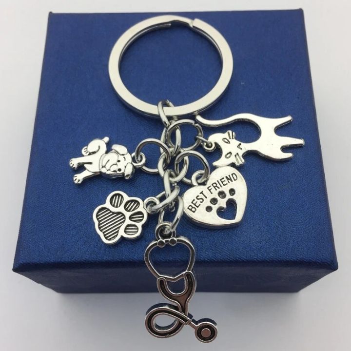 Key Chain Veterinary 1 pair veterinary key ring stethoscope animal jewelry animal dog cat ...
