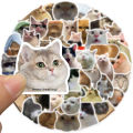 50 Pieces of Internet Red Cat Emoji Pack Graffiti Stickers Can Be Decorated Luggage Pen Guitar Notepad Waterproof Wholesale. 