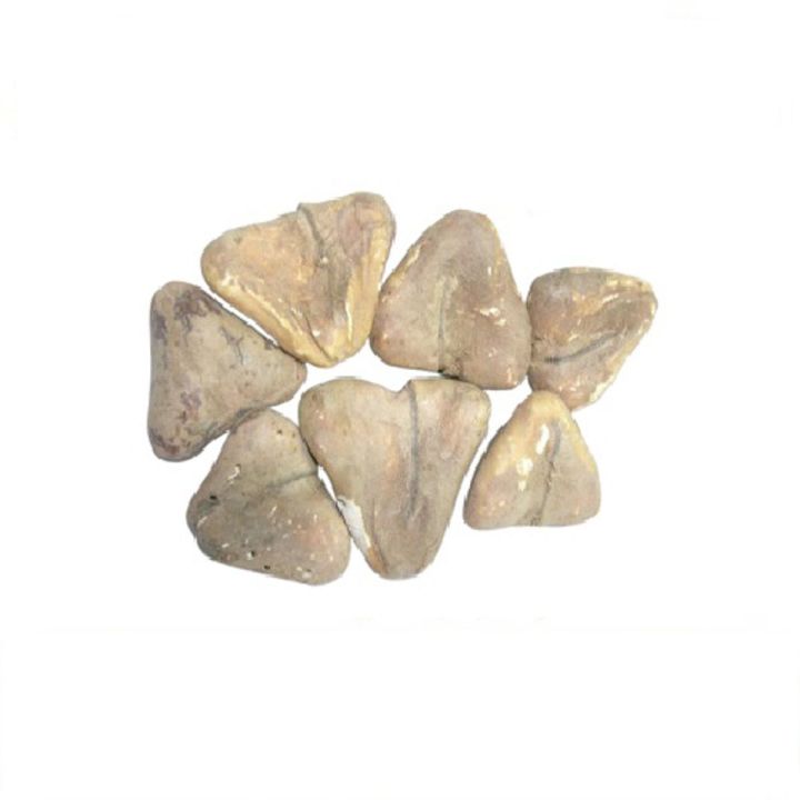 Singhara Dry | Water Chestnut | 250 Grams |