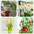 20Pcs Flower Making Bendable Plant Sticks Single Stem Potted Plants Flowers Plant Stakes Garden Indoor Outdoor Plants Plant Support Stakes. 