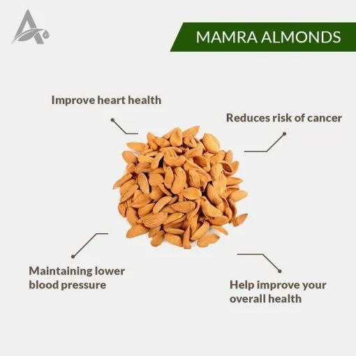 MAMRA%20BADAM%20%E2%80%93%20MAMRA%20ALMOND%20100gm%20-%20Image%202