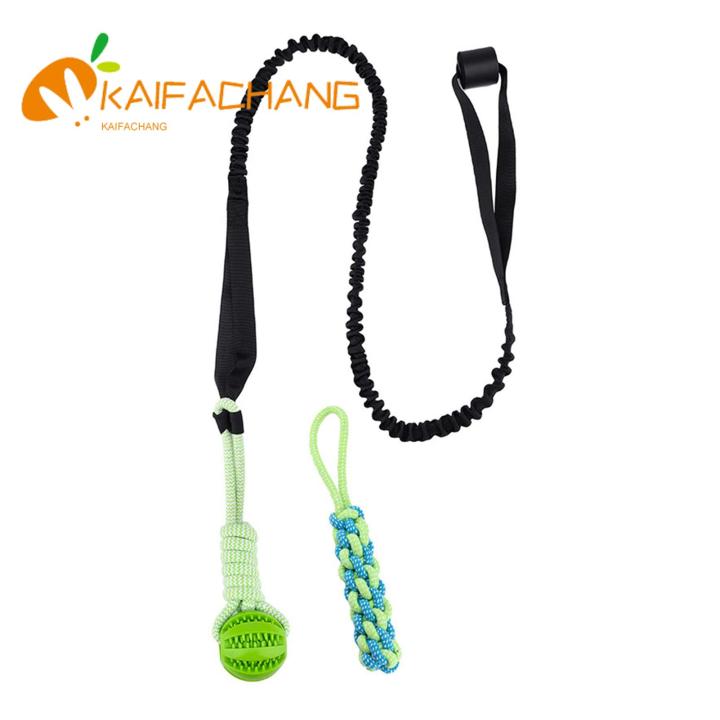 Safe Dog Entertainment Toy Interactive Bungee Tug Toy for Dogs Fun Tree Hanging Game with Adjustable Rope Dental Cleaning Chew Toy Perfect for Pet Playtime