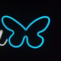 Customized Neon Sign, Neon Name , Neon Logo { 2 alphabets in 0.5 }meter ,for Wall with Thick Acrylic Support - Shockproof Neon Light for  Room Decoration Wall Art/Decor with High Durable Packing ,Increase Aesthetickness of your room. 