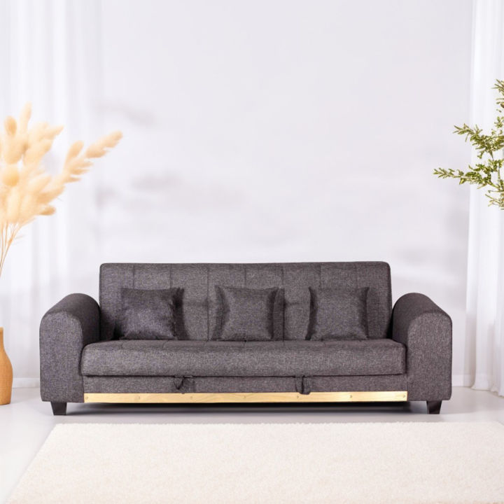 Sofa cum Bed