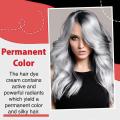 Gray Hair Dye Smoky Gray Punk Style Uni Fashion Hair Product For All Hair Types Long Hair Curly Hair Short Hair Gray Hair Dye. 