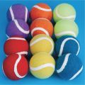 6 PCS Professional High Elasticity Training Tennis Balls Cricket Rubber Tenis Ball Competition Practice Tennisballen Exercise. 