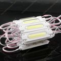 LED Module Light COB LED Fancy Injection LED Capsule Light Waterproof DC 12V Car Bike Decoration 2PCS. 