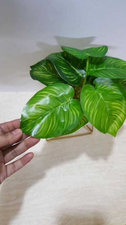 Ceramic%20pot%20with%20plant%20and%20metallic%20stand%20-%20Image%206