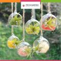 Techmanistan 1 Piece Transparent Ball Globe Shape Clear Hanging Glass Vase Flower Plants Terrarium Container DIY Wedding Home Decor Indoor Outdoor. 