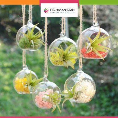 Techmanistan 1 Piece Transparent Ball Globe Shape Clear Hanging Glass Vase Flower Plants Terrarium Container DIY Wedding Home Decor Indoor Outdoor