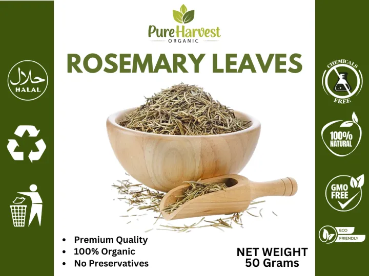 Pure%20Harvest%2050%20Grams%20Dry%20Rosemary%20Leaves%20with%20Free%20Hair%20Oil%20Applicator%20%7C%20Ideal%20for%20Strong%20Hair%20Growth%20%7C%20Rosemary%20Leaf%20-%20Natural%20Solution%20Of%20Healthy%20Lifestyle%20%7C%20-%20Image%204
