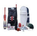 Professional Cricket Kit For Adults Gry Necols Pack of 10- (Hard Ball Cricket Bat + Hard Ball + Gloves + Cricket Kit Bag + Helmet + Under Guard + Leg Pads + Elbow Pads + Thigh Pads). 