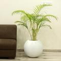 Large Round Fiberglass Decorative Planters 14 Inch Diameter Indoor-Outdoor Pots. 