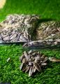 Organic Sunflower Seed (100 Grams) Fresh and Pure Sunflower / Soraj Makhi Ke Beej Best In Taste Buy Now. 