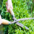 Professional Pruning Scissors Hedge Shears Clippers with Long Wooden Handle for Garden. 