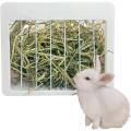 Kaytee All Natural Timothy Hay for Rabbits & Other Small Animals, 500 grams - Rabbit food.. 