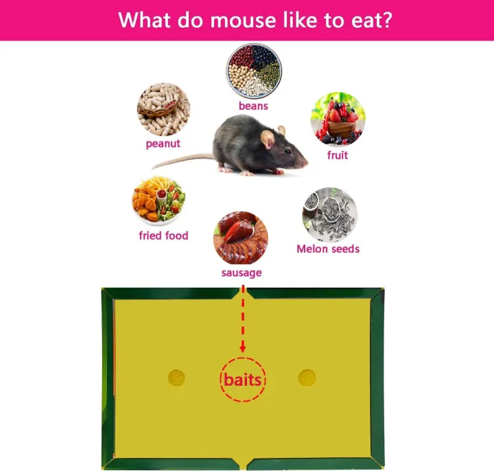 1%20Pcs%20Mouse%20Glue%20Traps%20with%20Enhanced%20Stickiness,%20Rat%20Mouse%20Traps,%20Snake%20Mouse%20Traps%20Sticky%20Pad%20Board%20for%20House%20Indoor%20Outdoor,%20Easy%20to%20Set%20(6.3"%20x%208.4")%20-%20Image%204