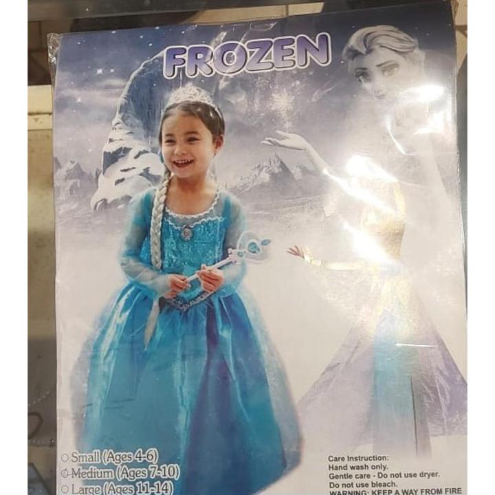 Elsa costume / dress /maxi / macsi and accessories set