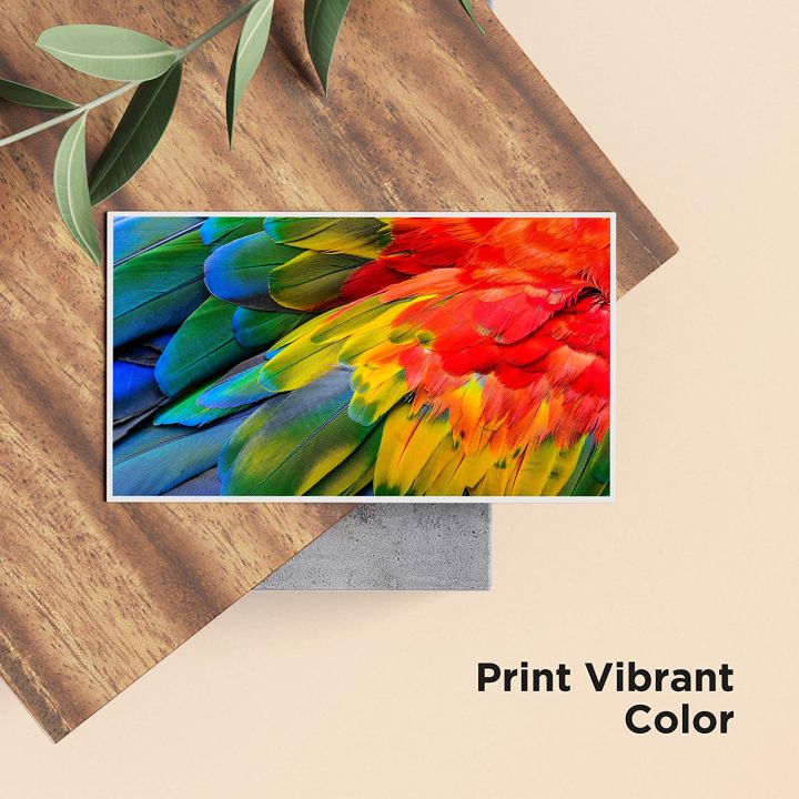 29XL%20Ink%20Cartridges%20Multipack,%20for%20Epson%2029%20XL%2029XL%20Printer%20Ink,%20Using%20with%20Epson%20Expression%20Home%20XP-442%20XP-452%20XP-342%20XP-245%20XP-235%20XP-255%20XP-352%20XP-247%20XP-332%20XP-345%20XP-432%20XP-445%20Printers,%204-Pack%20(Black-Cyan-Megenta-Yellow).%20-%20Image%209