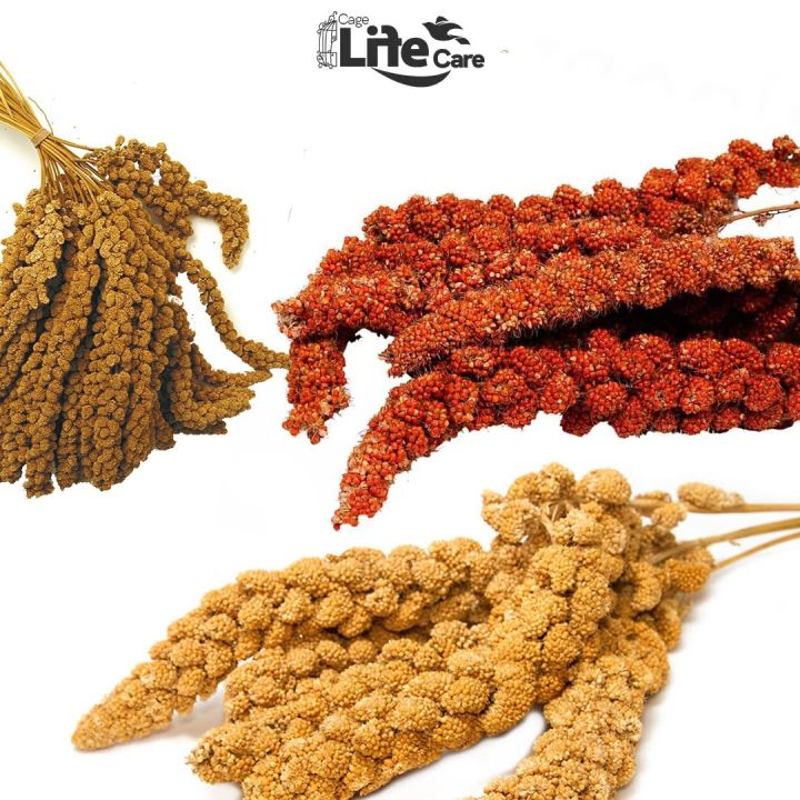 Yellow Millets Spray 250gm for all types of birds TREATES ( Cage Life Care )