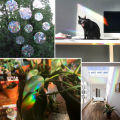 Colorful Bird Window Stickers Prevent Bird Collisions with Rainbow Prism Decals Home Decor Supplies. 