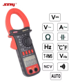 CLAMP METER AC BM 802A. 