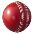 Sports Soft Rubber Cricket Practicing Training Hard Ball Practice PVC indoor Cricket ball  for Coaching, Training, Practice & Excellent Bounce Skills Soft Foam Rubber Cricket Ball. 
