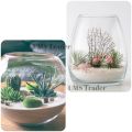 Camel Brown Sand - Sea Sand - Best for Planted and Fresh Water Fish Tank - Terrarium Sand - DIY Epoxy Resin Beach Sand - 1 KG. 