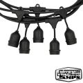 20 Holders Outdoor Waterproof String Hanging Lamp with Filament Bulbs. 