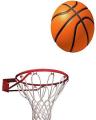 Golden store Basket Ball With Net and Ring - Standard Size. 