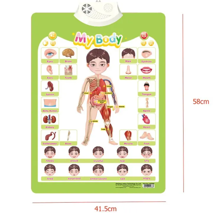 Talking%20Posters%20Educational%20Set%20for%20Kids%20-%20Image%203