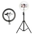 Ringlight - 26CM Ringlight - High Quality With 7FT Ringlight Stand - Stand with Mobile Phone Holder for Mobile Phones/DSLR and Ring Light, Three Colors Shades Ring Light. 