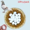 10Pcs White Solid Plastic Solid Pigeon Eggs Dummy Fake Eggs Hatching Supplies. 