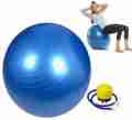 85 CM Anti Burst Gym Ball with Foot Pump,  Heavy Duty Non Slip Yoga Exercise Balance Ball for Pilates Home Workouts Strength Training Men and Women. 