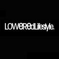 Auto Car Decal Winshield Lowered Lifestyle Pattern Banner Vinyl Sticker Decor. 