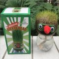 Grass Head Doll Educational Toys For Kids -Small Potted Ornaments with Cultivation Medium Toys For Girls - Mini Grasshead Hair Grow Toy Gardening Decoration items. 