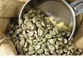 GREEN COFFEE BEANS|250:GRAM. 